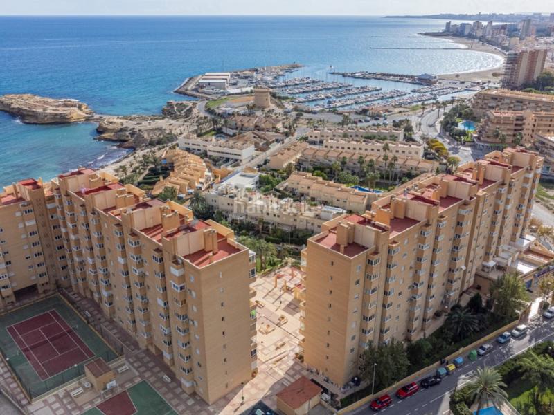 Foto e56f984c-e046-4df9-87ee-bb30f7d84e0d. Apartamento  3 habitaciones venta el campello en Campello (el)