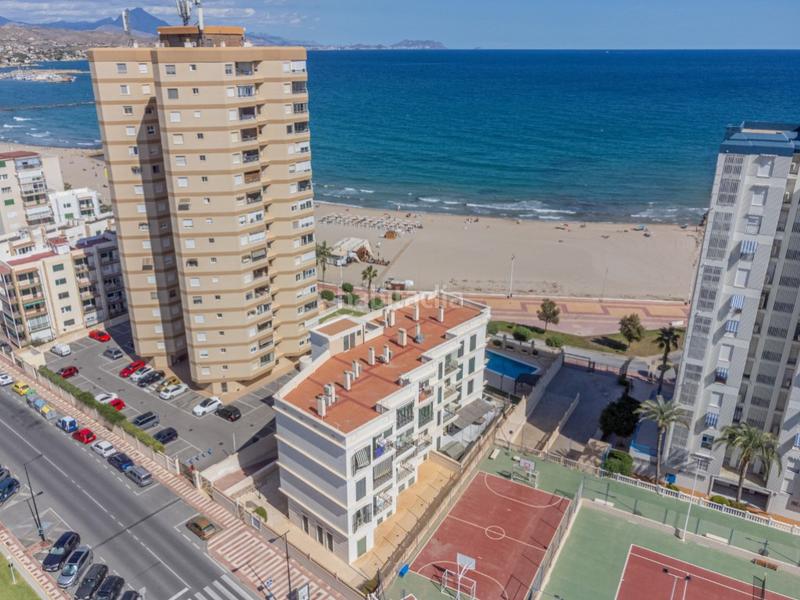 Foto 133a844b-c713-4488-bff4-a7563621e3fa. Appartement dans calle de sant vicent dans Campello Playa Campello (el)