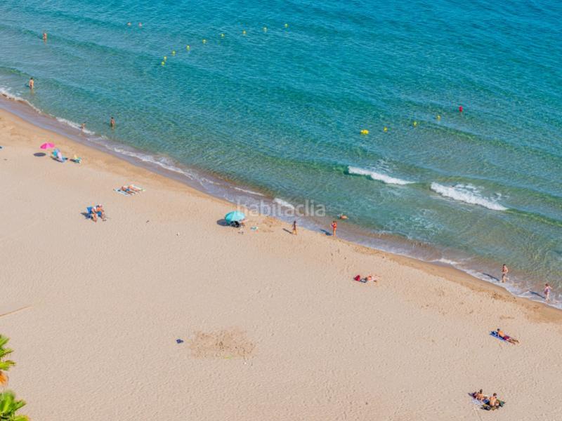 Foto 8f38e805-3715-45db-a97a-3ce68292234a. Appartement dans calle sant bartolomeu 30 dans Campello Playa Campello (el)