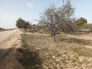 Rural plot en Camino de fachardet. Finca rstica