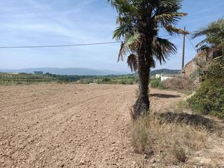Rural plot in Sarral. Terreno en venta en sarral