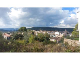Finca rústica a Llacuna (La). Terreno en venta en la llacuna