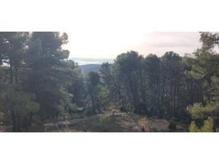 Wohngrundstück in Llacuna (La). Terreno en venta en la llacuna