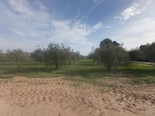 Propriété à Cabanes y Las Fuentes. Vende terreno en villena
