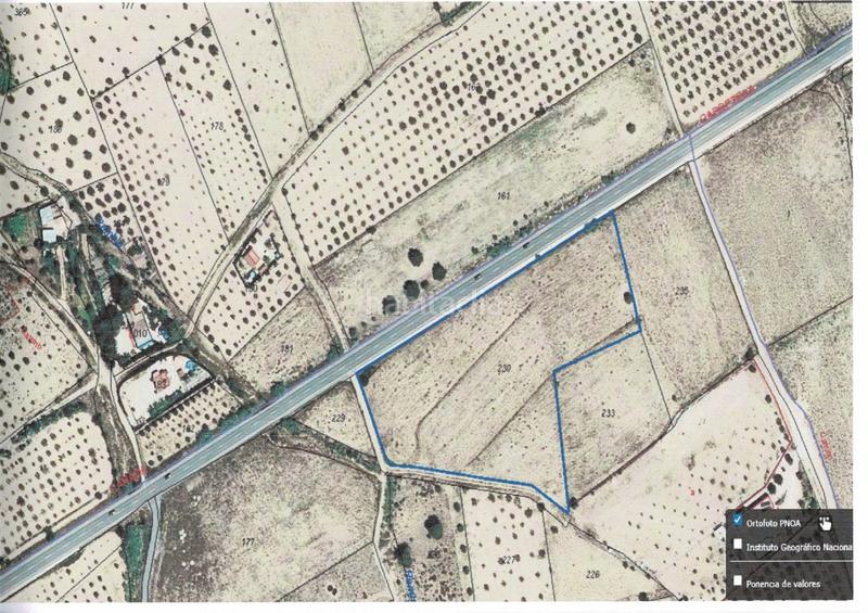 Foto ca7e6916-7f4f-4532-84d7-02e0dc7f9866. Finca rústica terreno rustico en San Francisco Villena