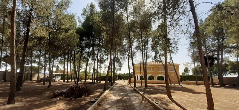 Foto addd9241-14e6-42c2-80ca-eaebed5ac6aa. Chalet avec piscine dans Las Cruces Villena