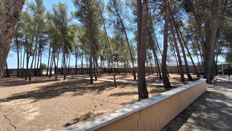 Foto f5d8efbf-7a6a-4985-aa69-a572aad0a896. Chalet avec piscine dans Las Cruces Villena