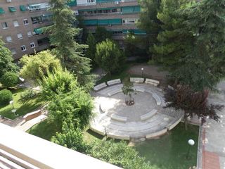 Lloguer Pis  Paseo de las delicias