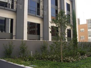 Location Loft  Calle de miguel yuste