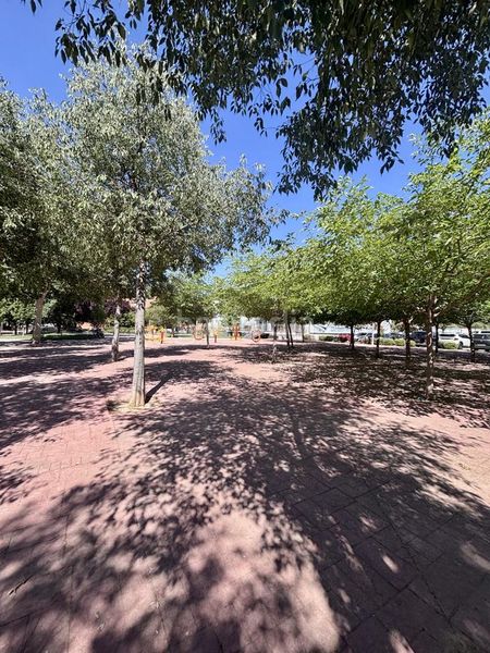 Foto 615d552c-4ea3-4141-b384-23d65d41c347. Pis amb calefacció a Barrio de las Fronteras Torrejón de Ardoz