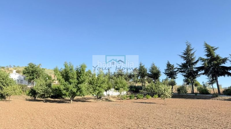 Foto d56aacff-57ed-498e-8873-b0ecbd2023d1. Casa amb calefacció piscina a Valdeavero