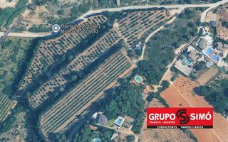 Propriété à Picassent. Parcela rustica en plena producción de naranjos en picassent – r
