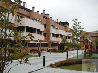 Flat  Cl concha laos. Las rozaspiso