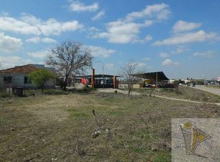 Residential Plot  Cr san martin de la vega.. Pintoterreno