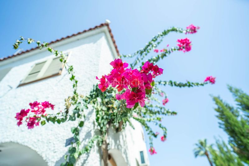 Foto bfa46a31-83d9-4e4f-aafa-a63b4cdb1d00. Casa adossada a calle e calatayud 49 a Playa Morros de Gos Oropesa del Mar
