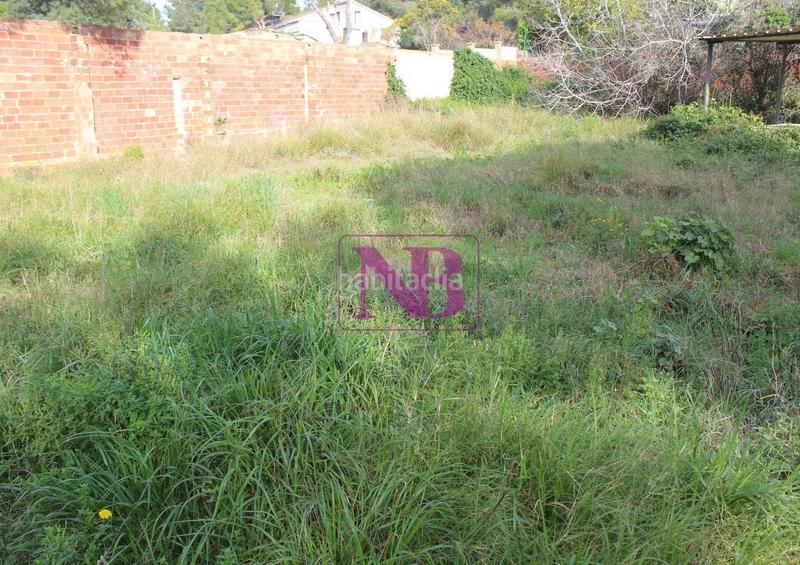 Foto 0a6fad59-6002-46bc-b356-3c2eb18c136d. Terrain résidentiel dans Catllar (El)