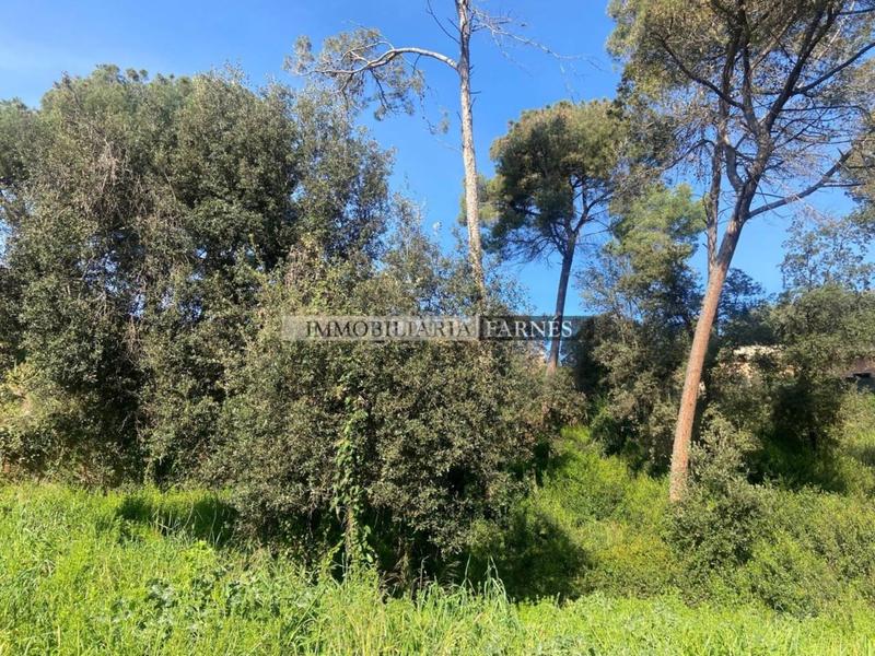 Foto 0a551996-dde7-48a8-b6f0-1e5353a61444. Wohngrundstück in pedrera 1 in Caldes de Montbui