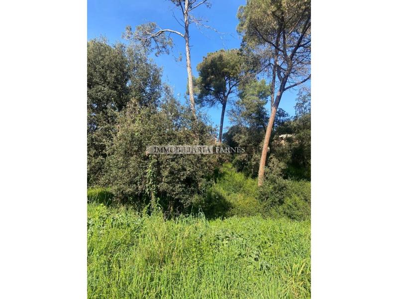 Foto 17698a58-ff3a-4ad3-a3a6-8023e068dffd. Wohngrundstück in pedrera 1 in Caldes de Montbui