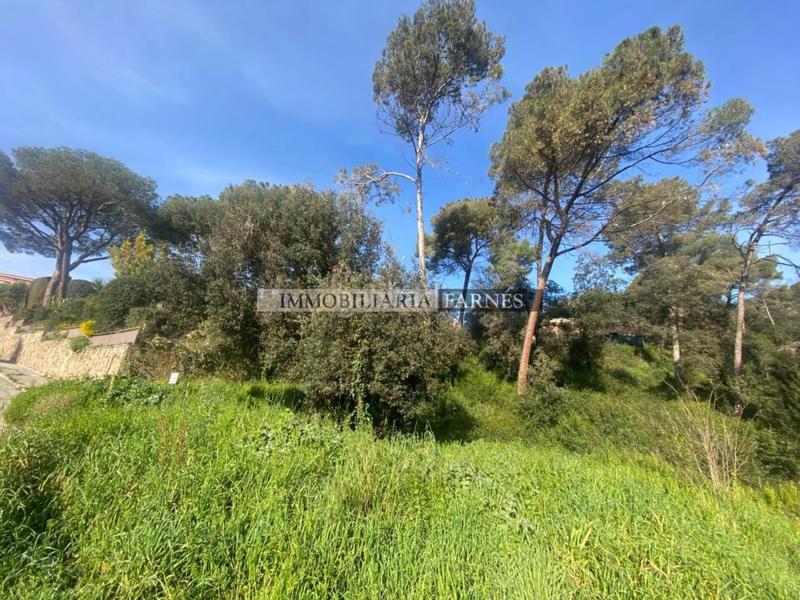 Foto 1ada87c5-463a-4428-9a20-877d313a99ab. Wohngrundstück in pedrera 1 in Caldes de Montbui