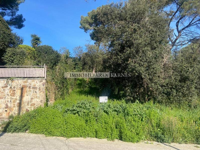 Foto 265ccfc3-6e2d-440e-80af-0d1fed25db41. Wohngrundstück in pedrera 1 in Caldes de Montbui