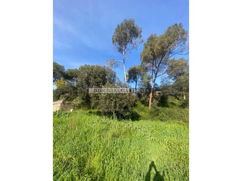 Foto ae8be02c-90d7-4fbf-bd91-aa7e1471d46c. Wohngrundstück in pedrera 1 in Caldes de Montbui