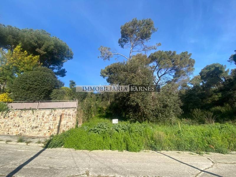 Foto ee5cb567-43c1-4c58-9a61-b10ef554e8ac. Wohngrundstück in pedrera 1 in Caldes de Montbui