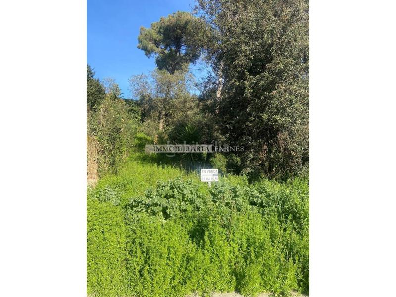 Foto f941abaf-5684-4ec4-b7d8-86780adf158d. Wohngrundstück in pedrera 1 in Caldes de Montbui