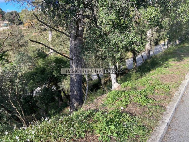 Foto 4dc2d08a-024e-4139-bb7c-c6a27bab73a4. Terreny residencial a Caldes de Montbui