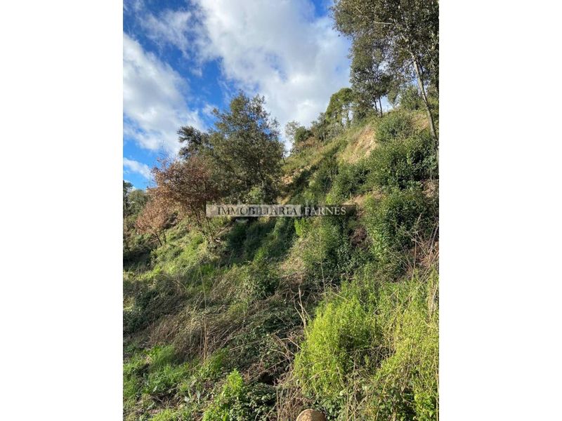 Foto 57a3422c-9deb-4a28-9a90-ff301d533bc7. Terreny residencial a Caldes de Montbui