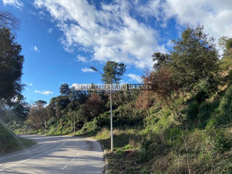 Foto 5eb0f42d-25e4-46fc-b1d2-acfd52479bde. Terreny residencial a Caldes de Montbui