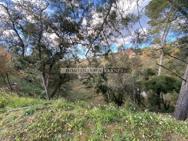 Foto c274c492-67e0-4955-a644-80aedb5fd1d9. Terreny residencial a Caldes de Montbui