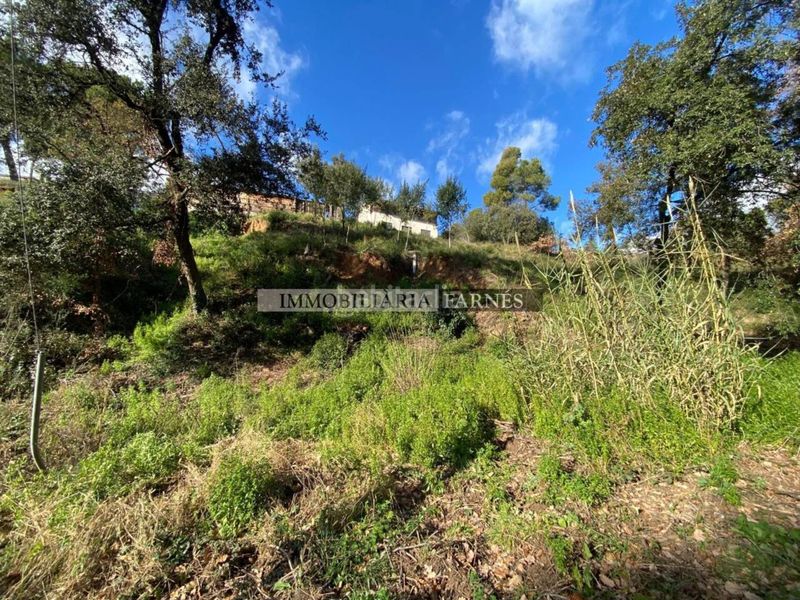 Foto d820922a-f71c-4f56-81b6-b78e6fb62d62. Terreny residencial a Caldes de Montbui
