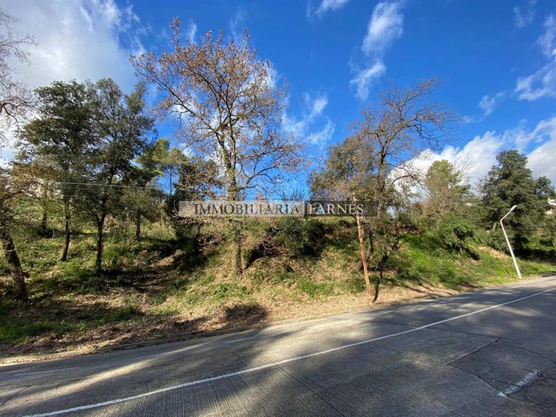 Foto f4ddfd5e-5436-468c-8b36-c845236b31c9. Terreny residencial a Caldes de Montbui