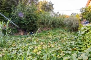 Terreny residencial  Carrer catalunya. Parcel·la amb bones vistes a una zona de tranquil·la de banyoles