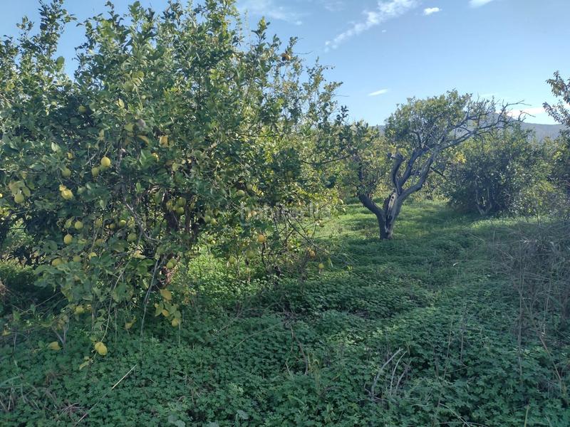 Foto a87db7df-83bb-4a46-b91c-715f08d107de. Fondo rustico in Torreagüera Murcia