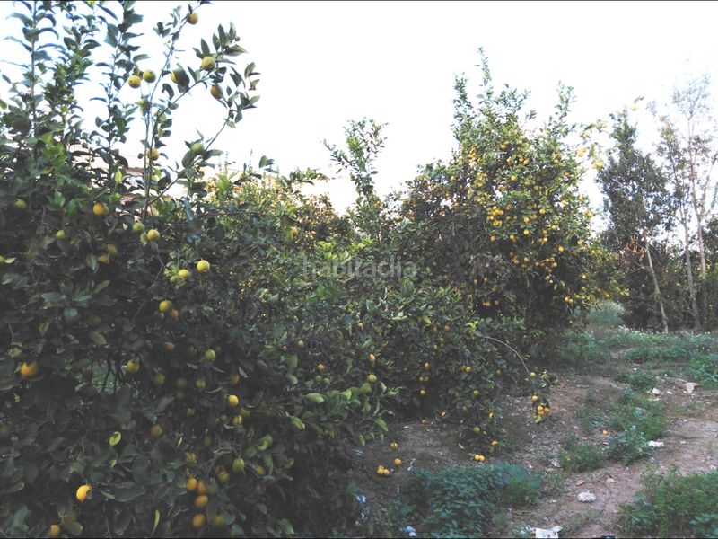 Foto 23b6d8bd-b6f1-44ed-bad0-55d9d0edccc2. Finca rústica a Puente Tocinos Murcia