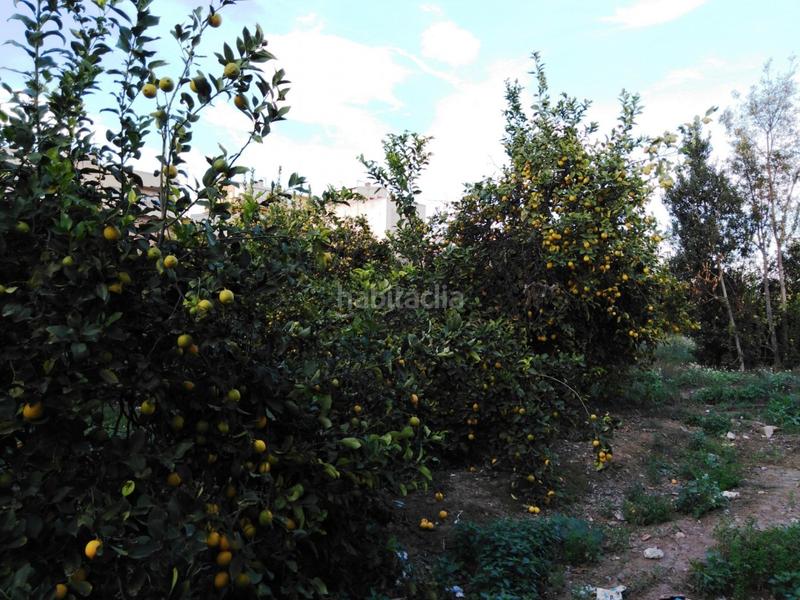 Foto 6587dc89-8494-4974-adb1-37b284d6f69c. Finca rústica se vende terreno rustico en Puente Tocinos en Murcia