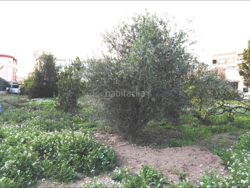 Foto a328b143-c8b9-4e0d-a168-b36a1ec19987. Finca rústica a Puente Tocinos Murcia