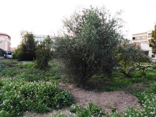 Finca rústica a Puente Tocinos. Se vende terreno rustico en puente tocinos