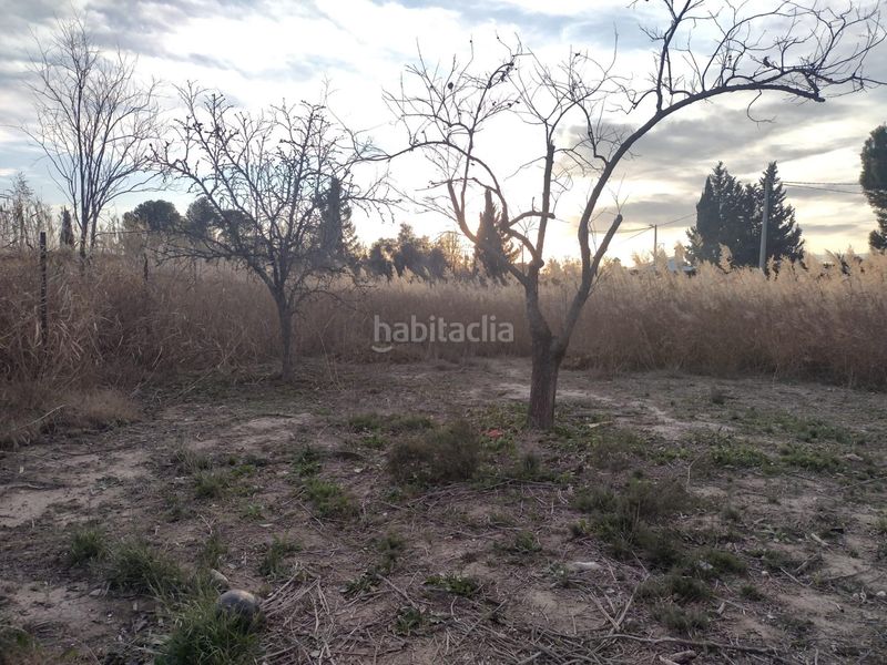 Foto 7078ff50-9892-4c89-8e0d-df09ccc0c935. Finca rústica a Lorquí