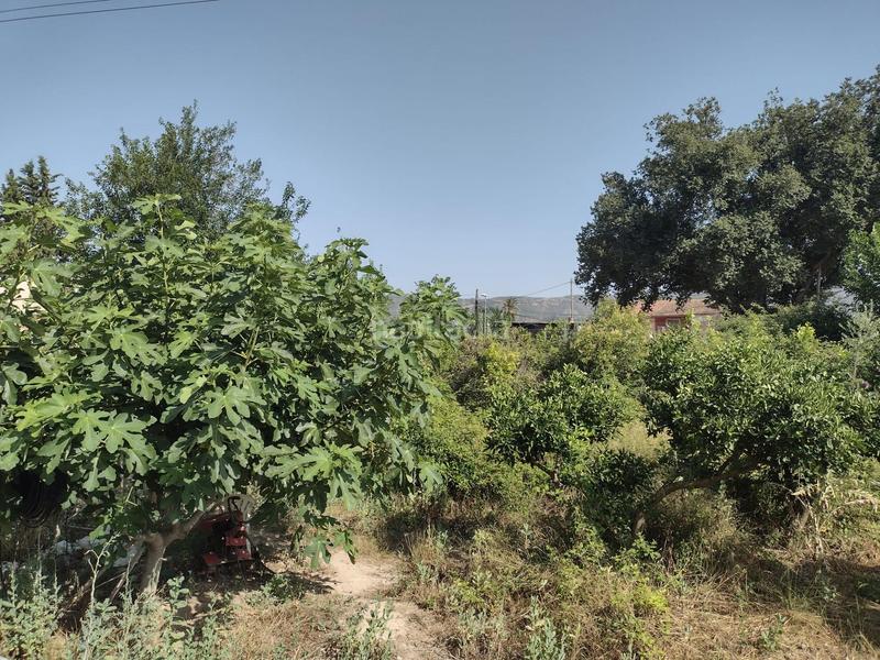 Foto 0870091b-734f-41f9-886b-16d45c3f9359. Masia amb aparcament piscina a Aljucer Murcia