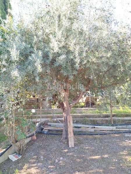 Foto 0c724ae7-21db-42a0-aa42-2ca2ff9b422e. Masia amb aparcament a Garres y Lages Murcia