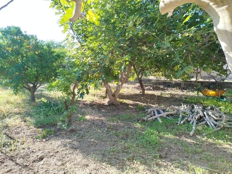 Foto 3baea20c-fba8-4e17-aa49-5fbfee22caeb. Masia amb aparcament a Garres y Lages Murcia