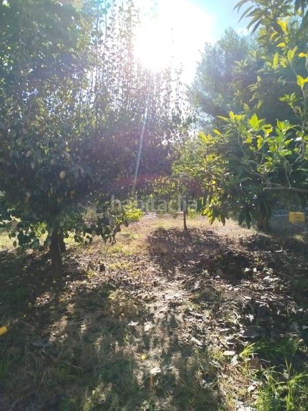 Foto 3c33b303-f0ce-4028-bf10-5ddce0bd6f1c. Masia amb aparcament a Garres y Lages Murcia