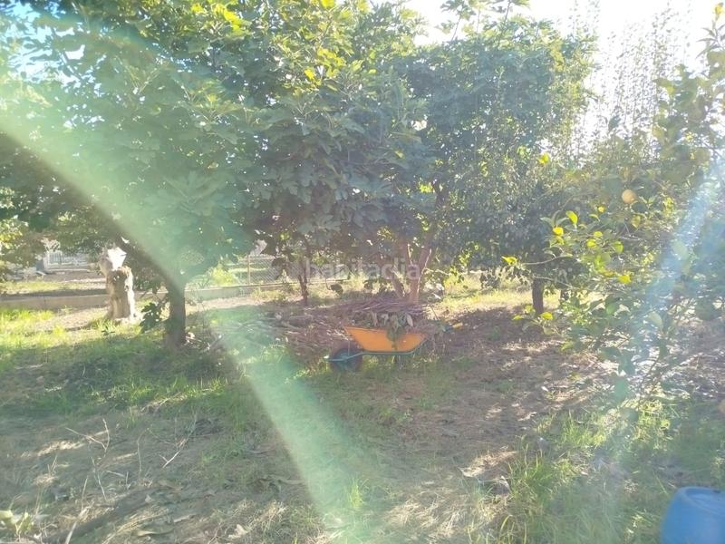 Foto 7e4a05f8-f462-4a3c-aef4-7906fd2abd95. Masia amb aparcament a Garres y Lages Murcia