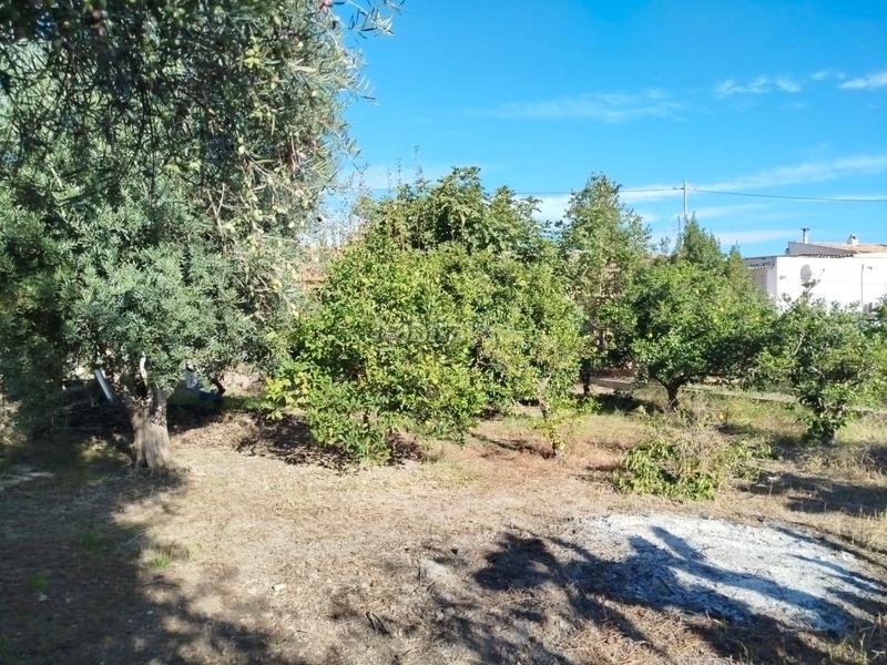 Foto cadb05e7-31bc-43d1-aced-a096c1711725. Masia amb aparcament a Garres y Lages Murcia