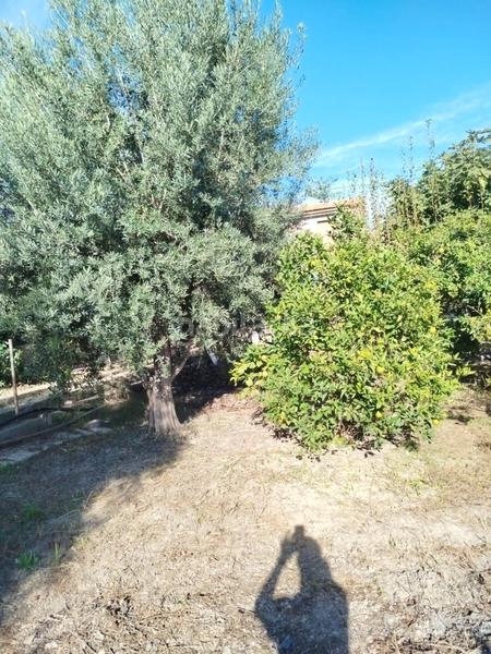 Foto da582b17-3a1b-425f-a087-5010b605f20c. Masia amb aparcament a Garres y Lages Murcia