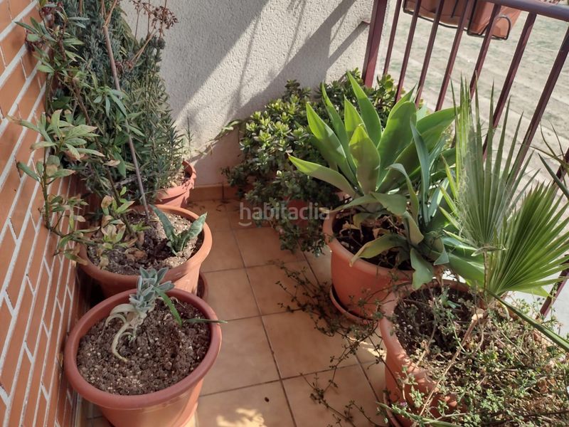Foto f8cbec0c-23a6-4f41-a94d-2e5fbb039ccf. Casa amb aparcament a Santa Cruz Murcia