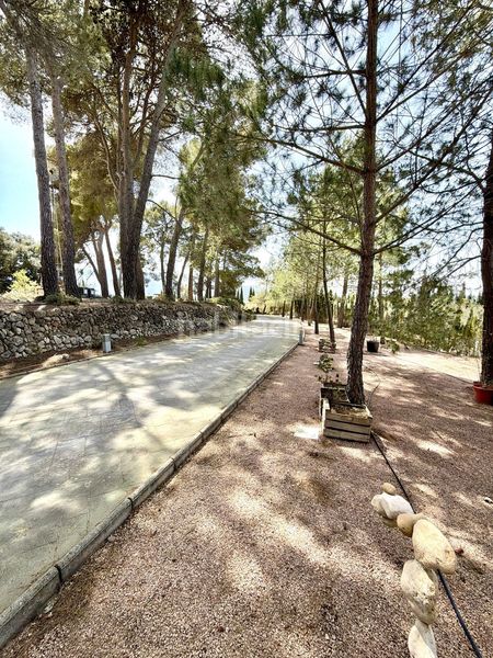 Foto 9a0275f2-4b68-4e9d-b39b-83ac46c5e74b. Xalet amb calefacció a Batoi Alcoi
