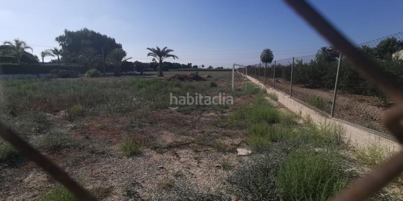 Foto 462d7b3b-e6d1-4f01-8fbb-79350ebb1093. Finca rústica a Las Bayas Elche / Elx